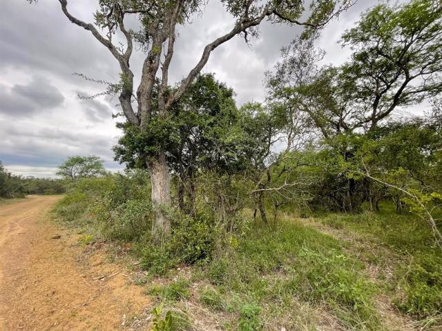 Property for sale in Mopani, Limpopo