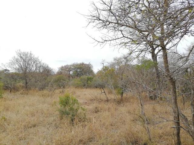 Property for sale in Mopani, Limpopo
