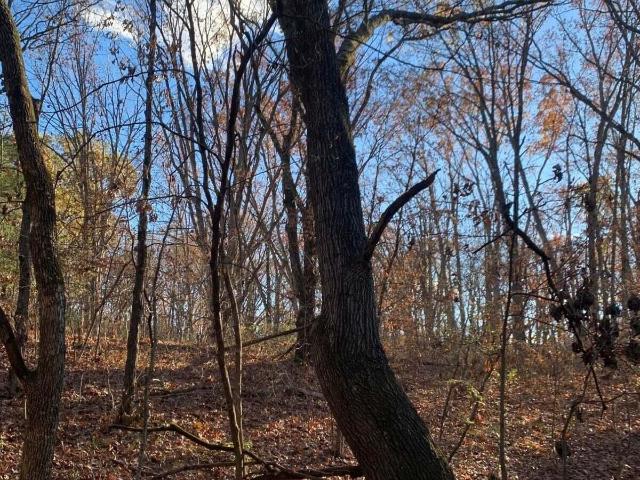 Land for sale in Minnie, Harrisburg