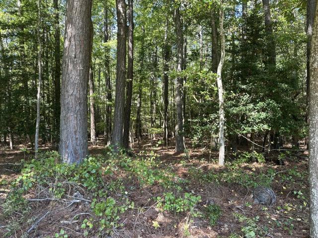 Land for sale in Accomac, Accomack County