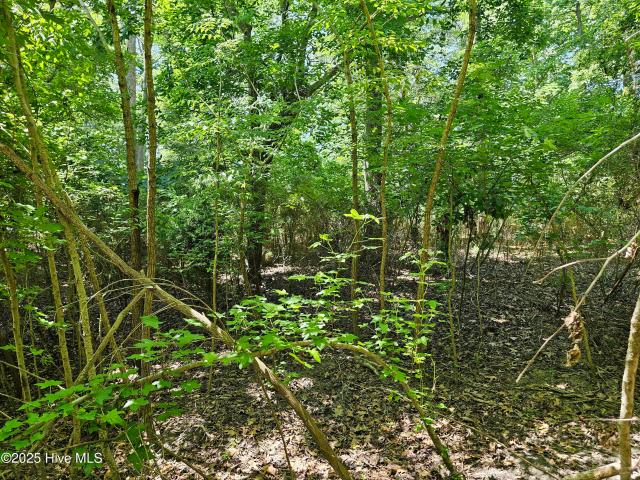 Land for sale in Hertford, North Carolina