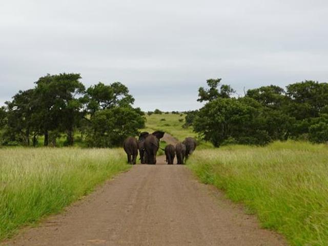 Property for sale in Mopani, Limpopo