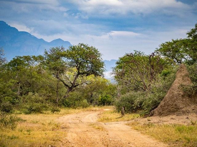 Property for sale in Mopani, Limpopo