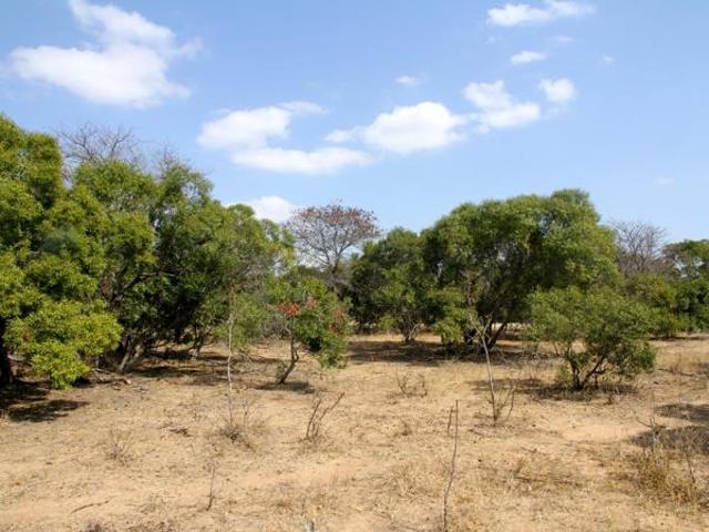 Property for sale in Mopani, Limpopo