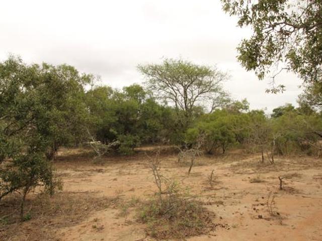 Property for sale in Mopani, Limpopo