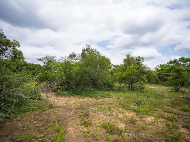 Property for sale in Mopani, Limpopo