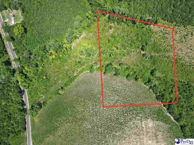 Land for sale in Latta, South Carolina