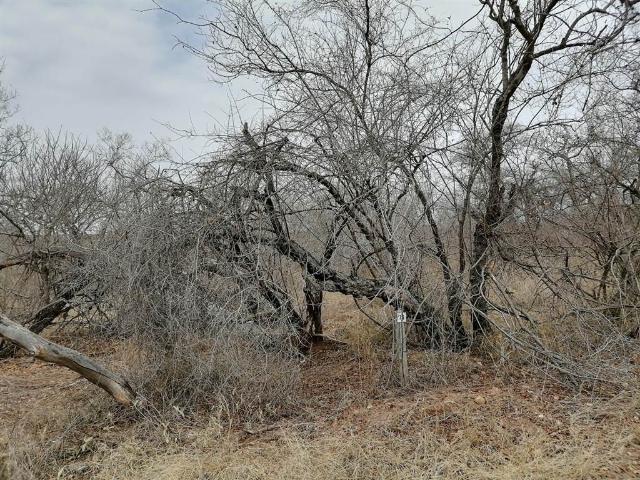 Property for sale in Mopani, Limpopo