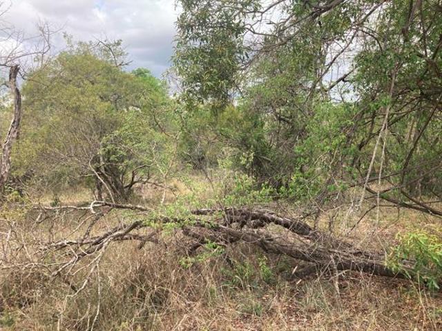 Property for sale in Mopani, Limpopo