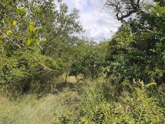 Property for sale in Mopani, Limpopo