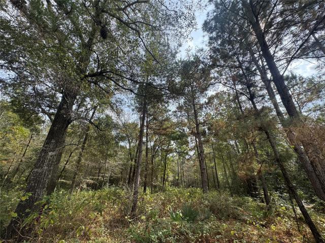 Land for sale in Walker, Texas