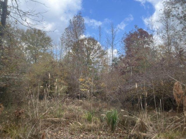 Land for sale in Ark