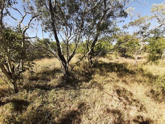 Property for sale in Mopani, Limpopo
