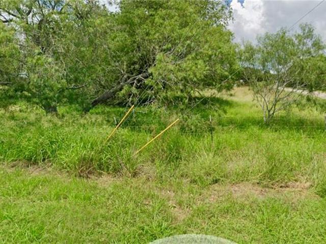 Land for sale in Premont, Texas