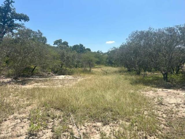 Property for sale in Mopani, Limpopo
