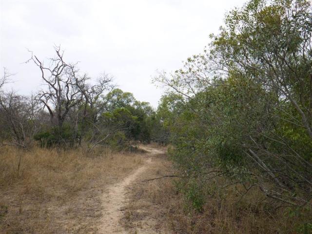 Property for sale in Mopani, Limpopo