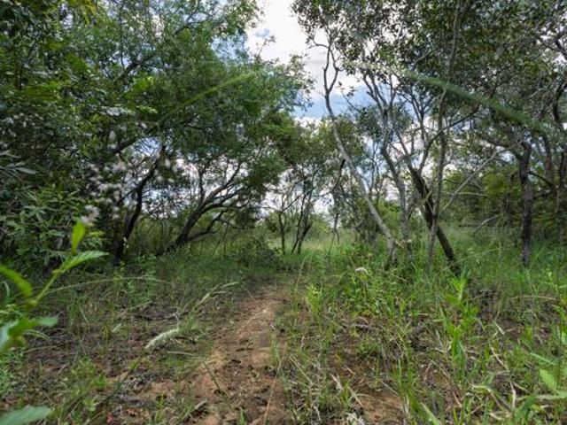 Property for sale in Mopani, Limpopo