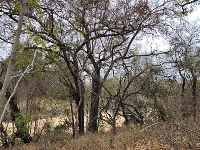 Property for sale in Mopani, Limpopo