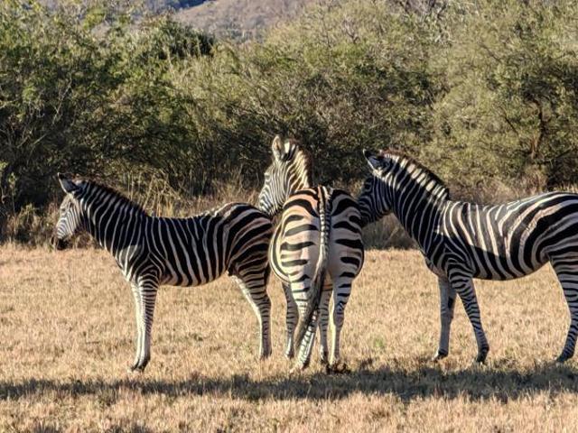 Property for sale in Ehlanzeni, Mpumalanga