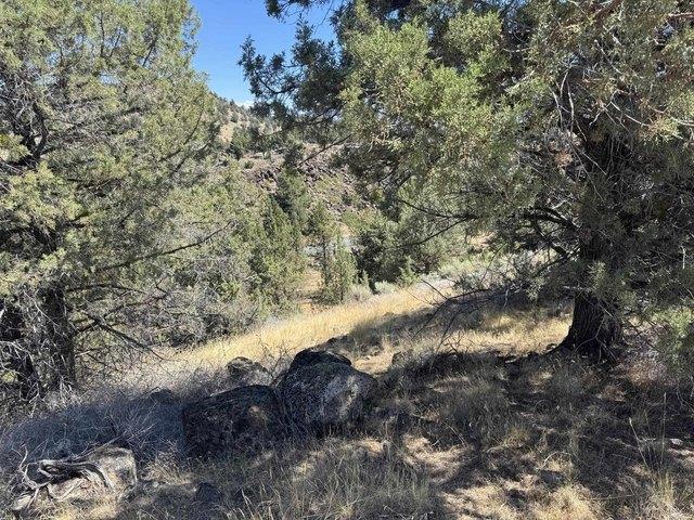 Land for sale in Weed, California