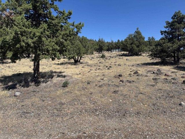 Land for sale in Weed, California