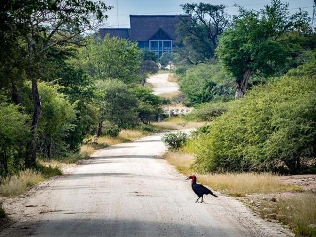 Property for sale in Mopani, Limpopo