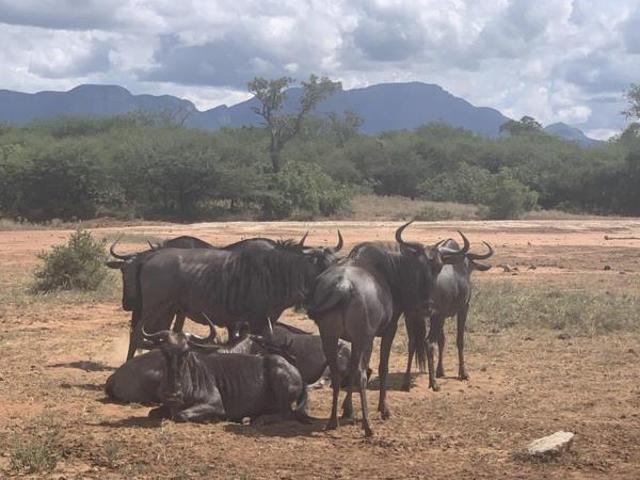 Property for sale in Mopani, Limpopo