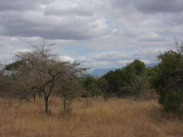 Property for sale in Mopani, Limpopo