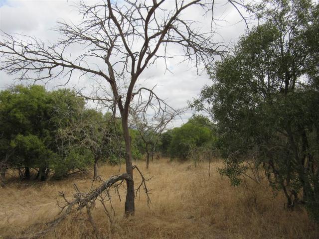 Property for sale in Mopani, Limpopo