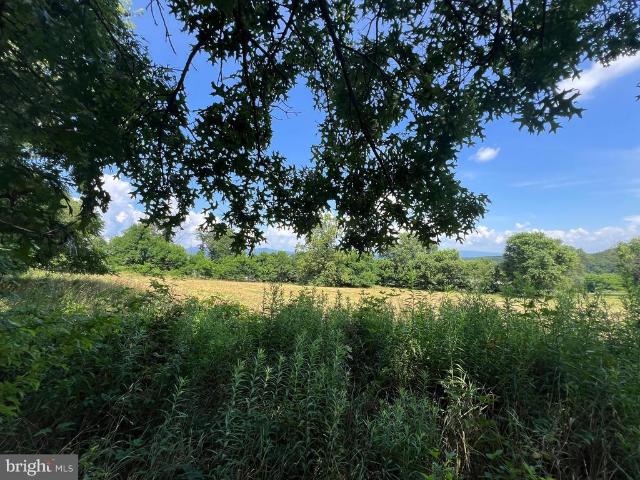 Land for sale in Hardy, West Virginia