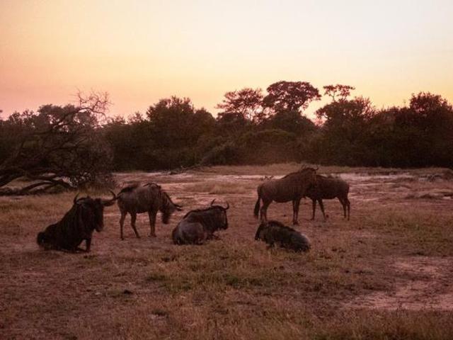 Property for sale in Mopani, Limpopo