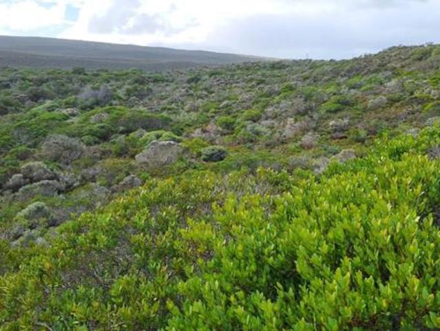 Land for sale in Western Cape