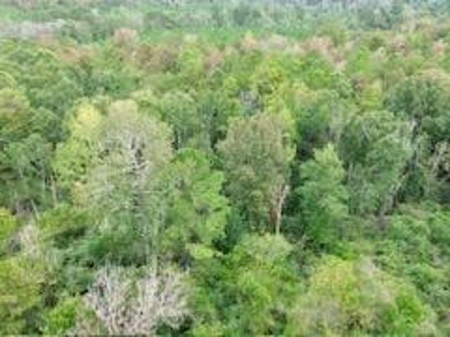 Land for sale in Liberty, Newton