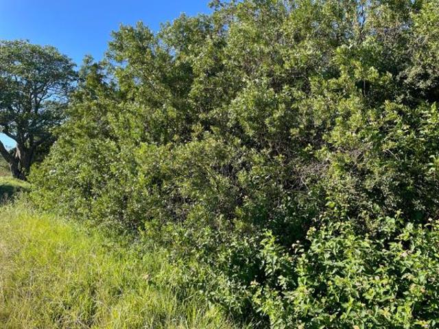 Property for sale in Bushmans River Mouth, Eastern Cape