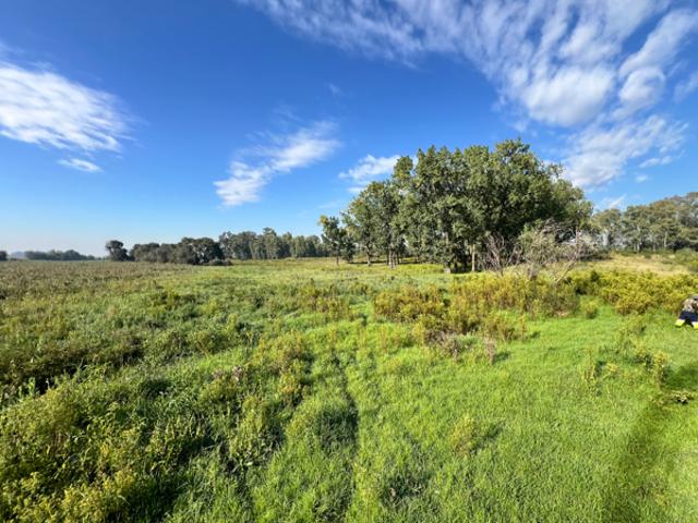 Land for sale in Midvaal, Gauteng