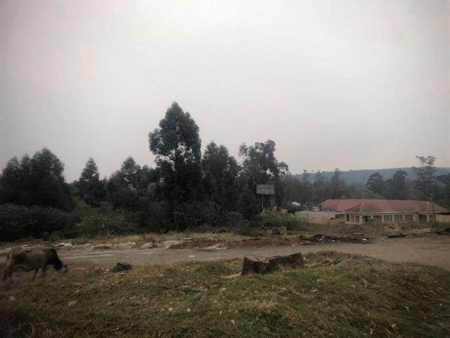 Land for sale in Amathole District Municipality, Eastern Cape
