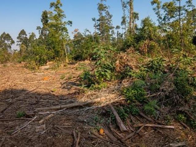 Property for sale in Kwazulu-natal