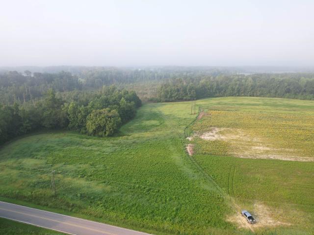 Land for sale in Johnsonville, South Carolina