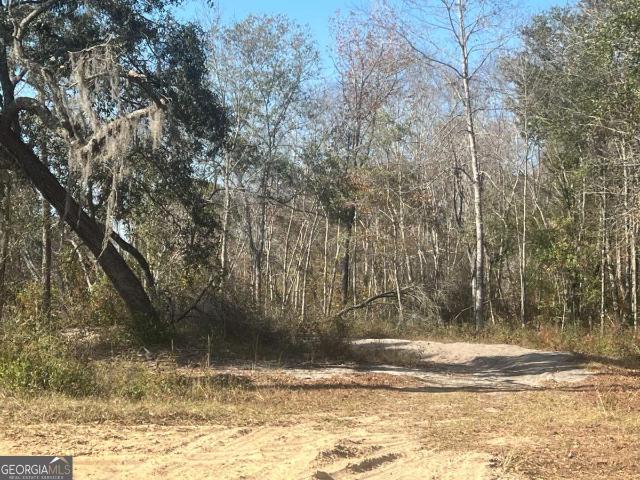 Land for sale in Collins, Georgia