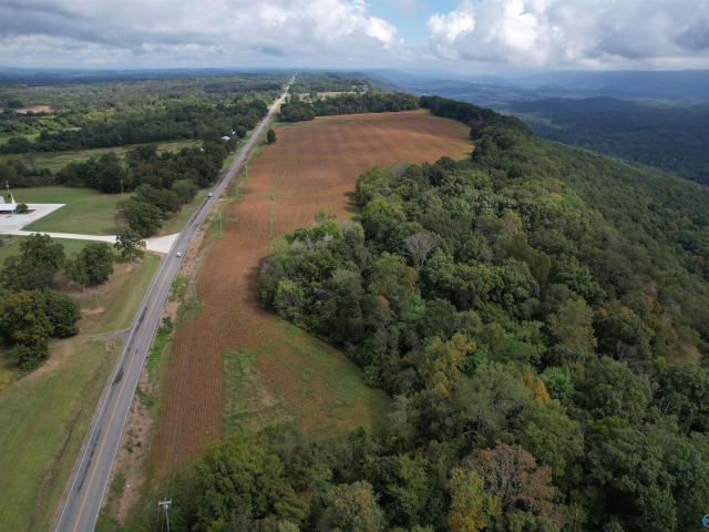 Land for sale in Henagar, Alabama