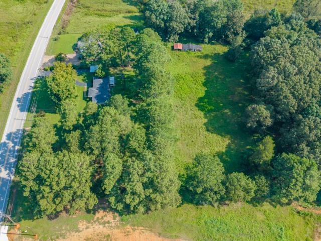 Land for sale in Rogersville, Alabama