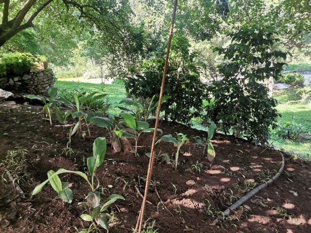 Commercial for sale in Mopani, Limpopo