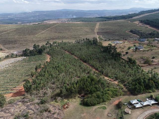 Farm for sale in Ehlanzeni, Mpumalanga