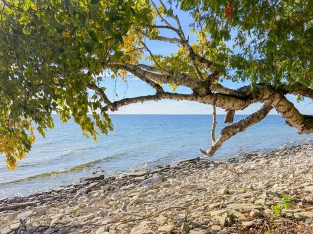 Land for sale in Garden, Delta County