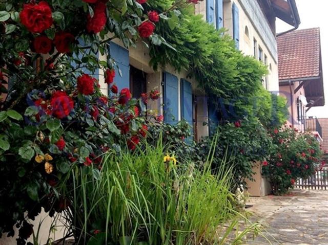 Wohnung kaufen in Fontaines-Grandson, Waadt