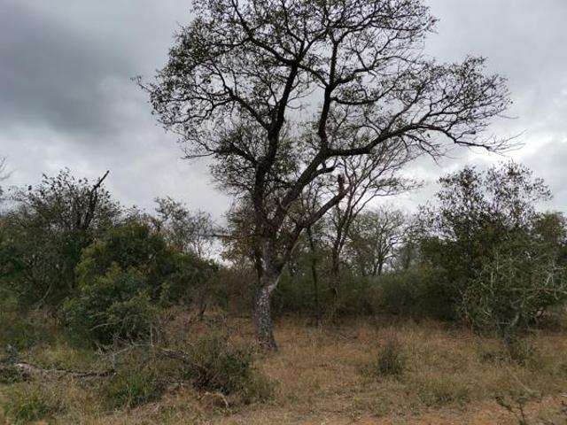 Property for sale in Mopani, Limpopo