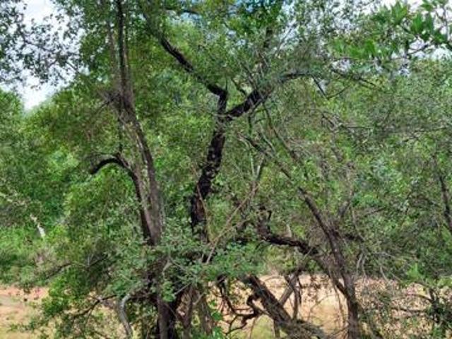 Property for sale in Mopani, Limpopo