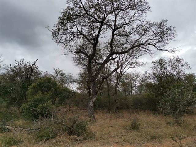 Property for sale in Mopani, Limpopo