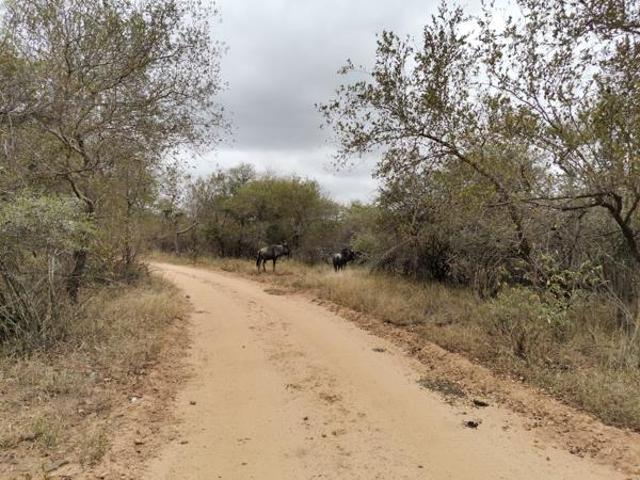 Property for sale in Mopani, Limpopo