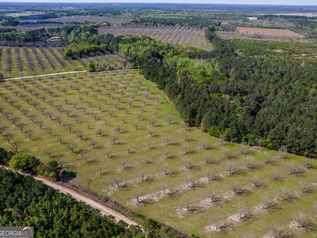 Land for sale in Cobbtown, Tattnall County